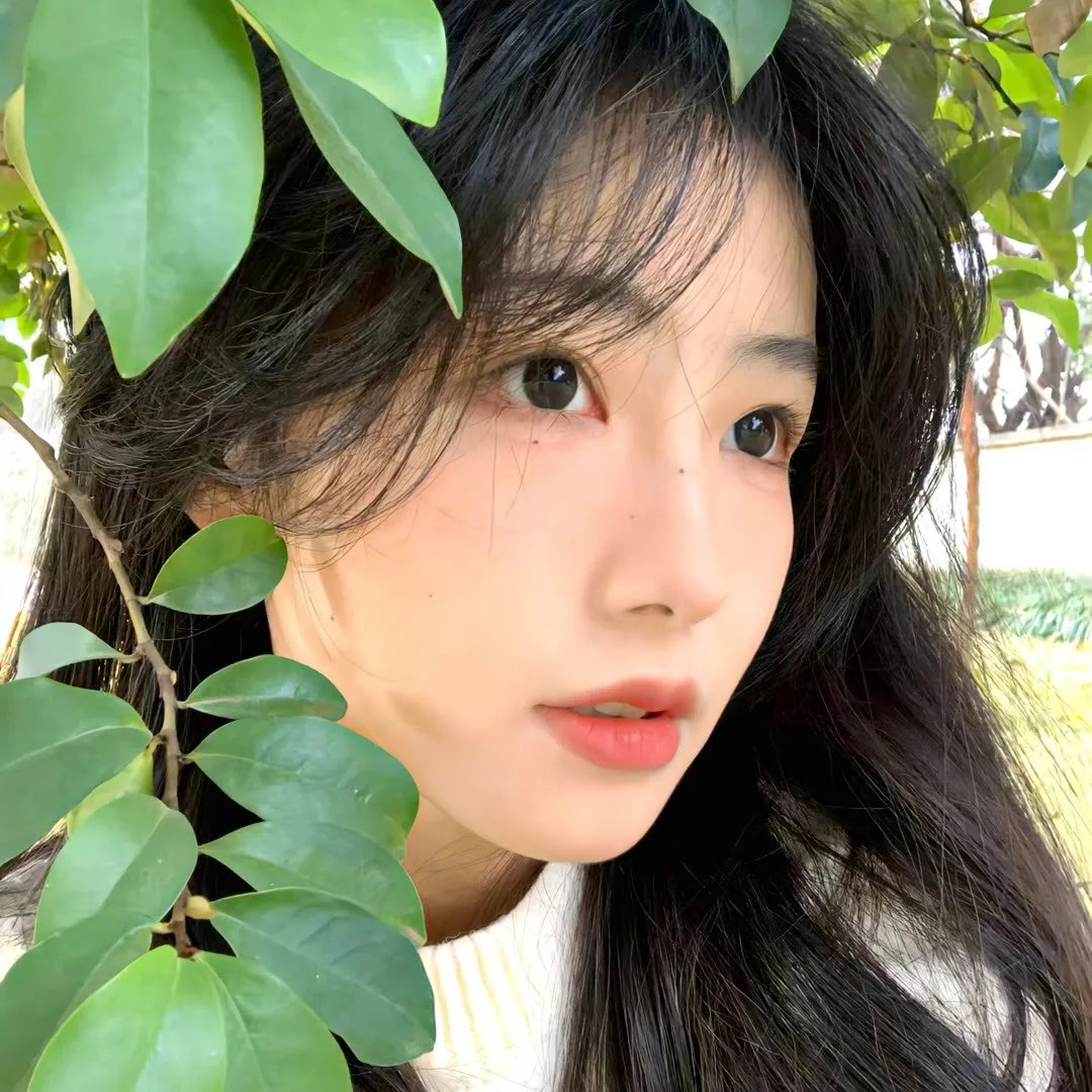 放映路上